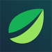 bitfinex交易所