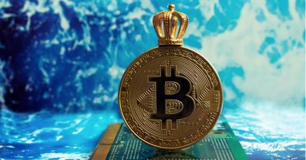 10万1枚的比特币、狗币还有马勒币，你想装哪种币？